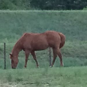 Meet your Posher, Kaycee